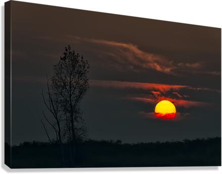 FS221018 01 Canvas Print