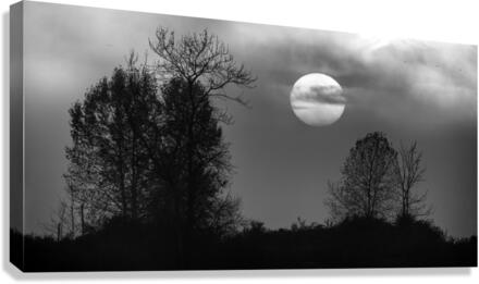 FS221019BW Canvas Print