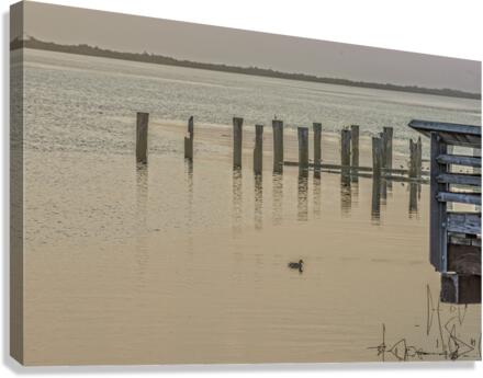 FS221019 01 Canvas Print