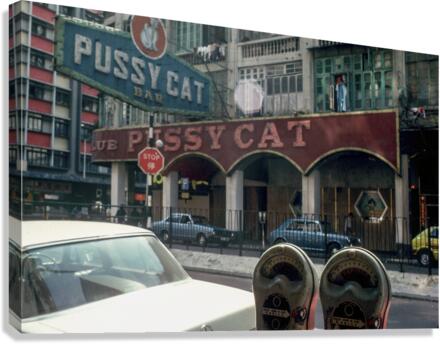 EXPIRED Canvas Print