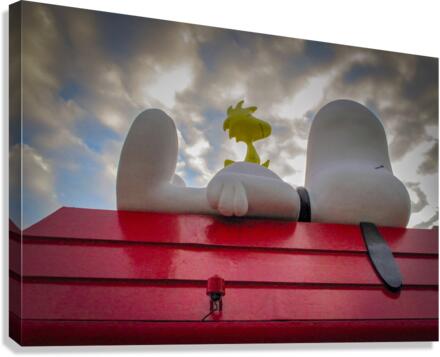Snoopy HK Canvas Print