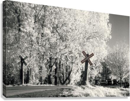 Infra red Canvas Print