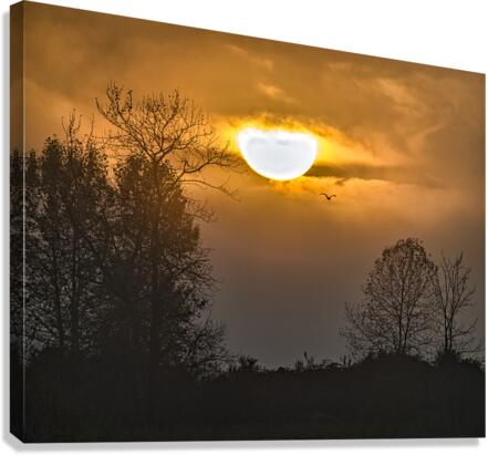 SETTING SUN 3 Canvas Print