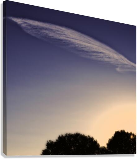 FEATHER CLOUDS Canvas Print