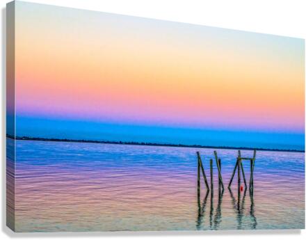 FS170730P Canvas Print