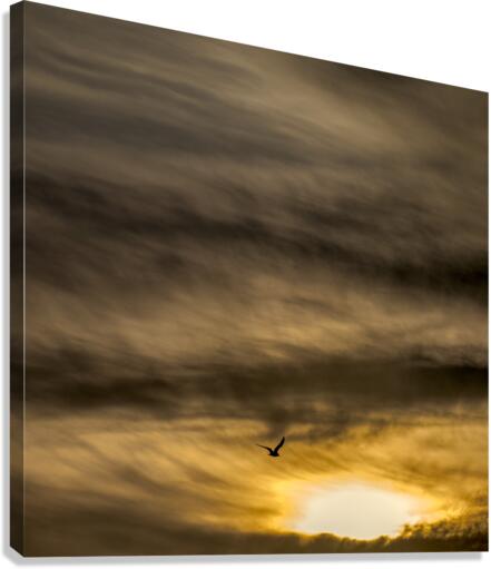 INTO UNKNOWN Canvas Print