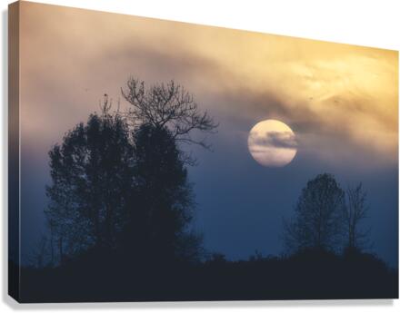 FS221019 255 Canvas Print