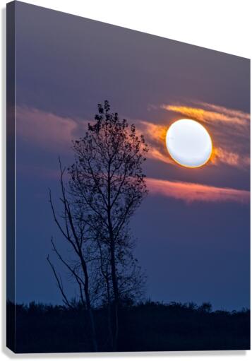 SETTING SUN 22 Canvas Print