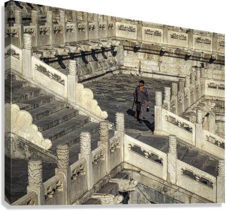 PALACE Canvas Print