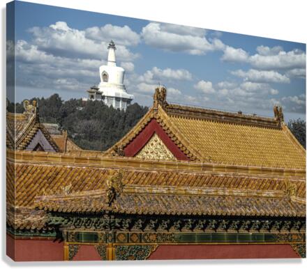 PALACE COMPLEX Canvas Print