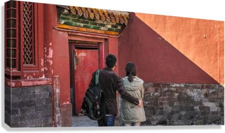 VISITORS Canvas Print