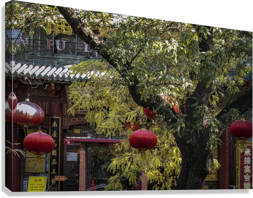 SHOPS Canvas Print