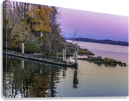 TWILIGHT 2022 Canvas Print