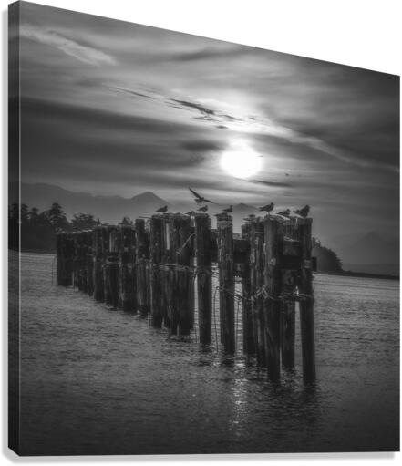 GILBERT BEACH BW Canvas Print
