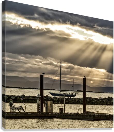 FS221128S Canvas Print