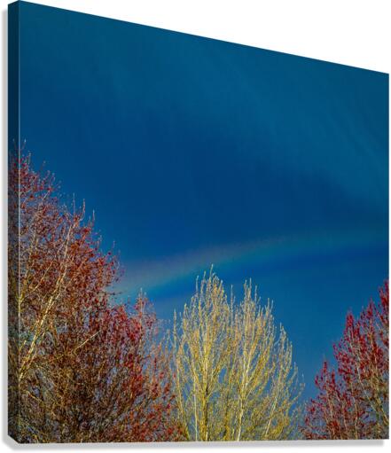 FS 100433S Canvas Print