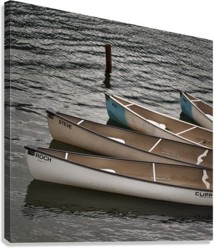 FS110715S Canvas Print