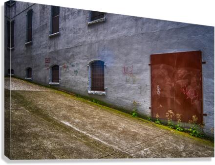 THE WALL 2011 Canvas Print