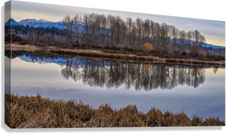 WINTER SCENERY Canvas Print