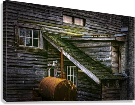 FS230110 Canvas Print