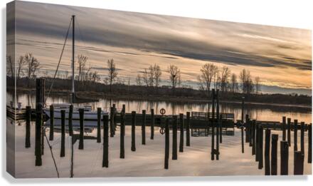 FS230114 Canvas Print