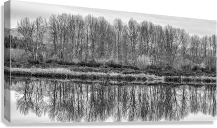 FS230104BW Canvas Print