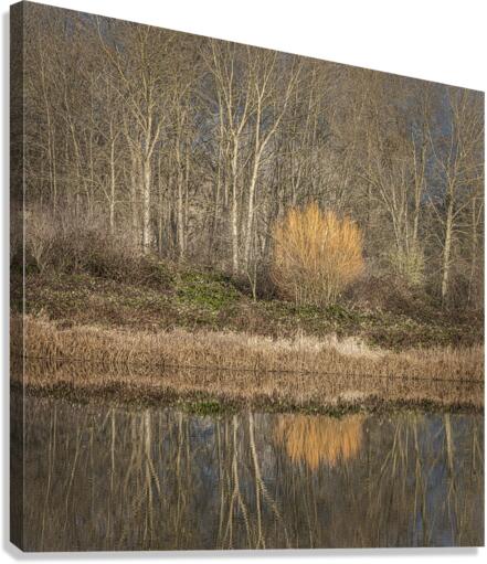 FS230119S Canvas Print