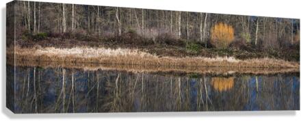 FS230119 044 Canvas Print