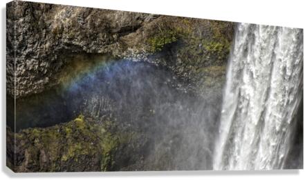 FS170504DD Canvas Print