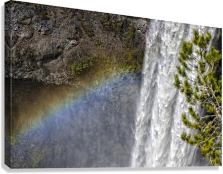 FS170504K Canvas Print
