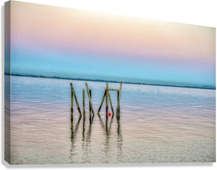FS170730H Canvas Print
