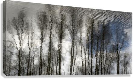 FS230128DW Canvas Print