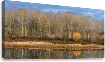 FS230119DW Canvas Print