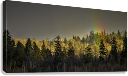 RAINBOW 2023 Canvas Print