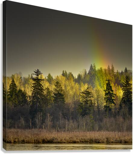 FS230221S Canvas Print