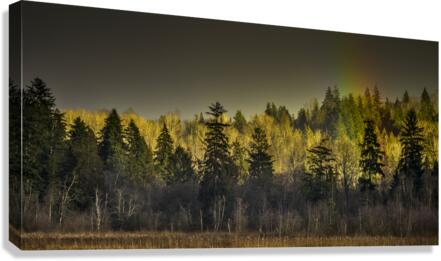 FS230221FF Canvas Print