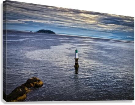 BLUE OCEAN Canvas Print
