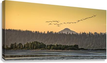 FS180522DW Canvas Print