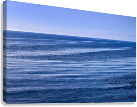 FS201031 4 Canvas Print