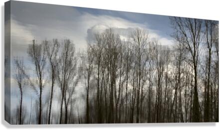 FS230307DW3 Canvas Print