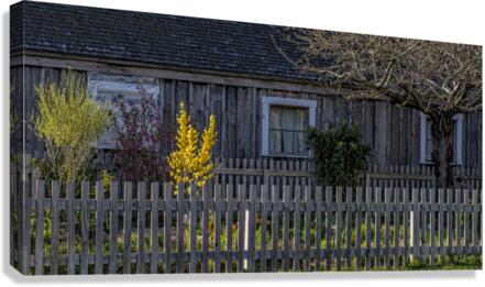 FS230401 240 Canvas Print