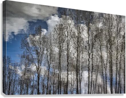 FS230401 088 Canvas Print