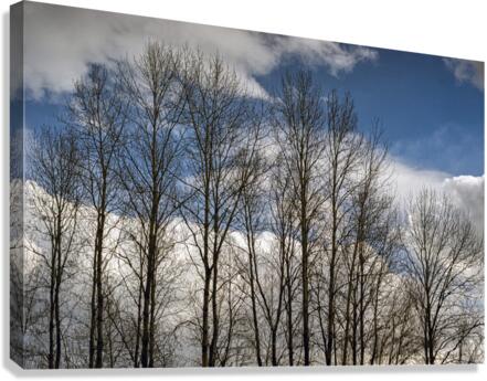 FS230307 030 Canvas Print