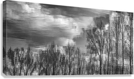 FS230401BB Canvas Print