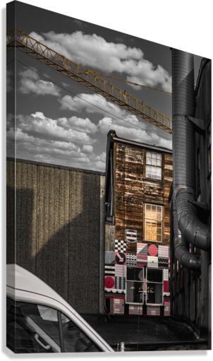 FS210331 08 Canvas Print