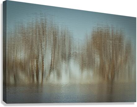 FS230404 045 Canvas Print