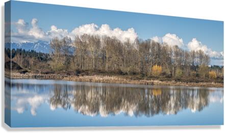 FS230404DW Canvas Print