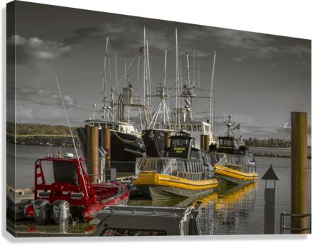 FS230419 Canvas Print