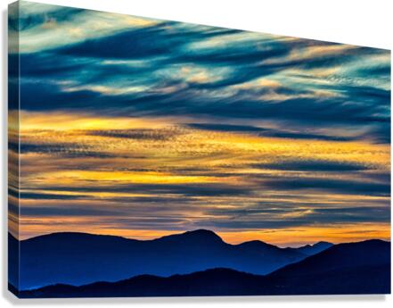 FS210829 Canvas Print