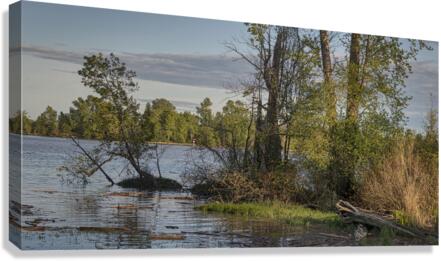 FS230507 Canvas Print
